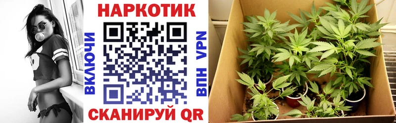 Наркошоп Избербаш Каннабис APVP ГАШИШ Меф мяу мяу