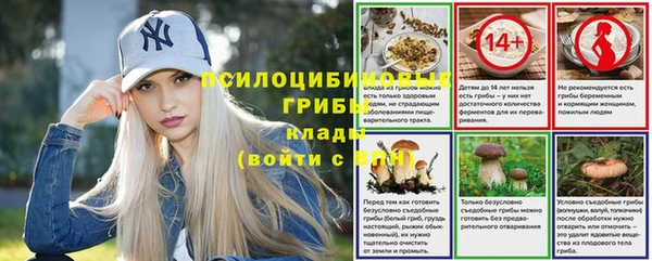 индика Домодедово
