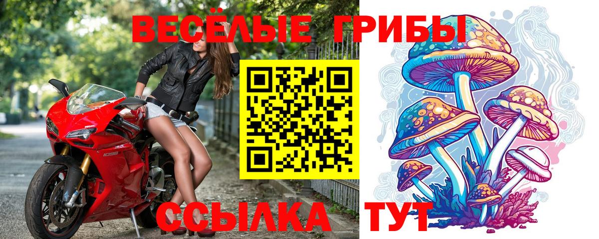 Псилоцибиновые грибы мухоморы  Избербаш  Псилоцибиновые грибы мухоморы 