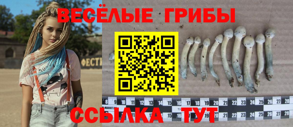 Избербаш  Галлюциногенные грибы ЛСД  Псилоцибиновые грибы Psilocybe  Вход с VPN 