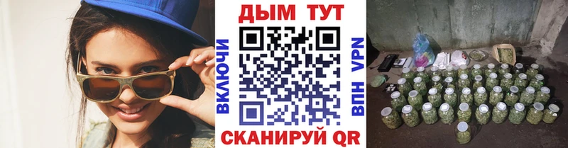 Конопля ГИДРОПОН  Избербаш 